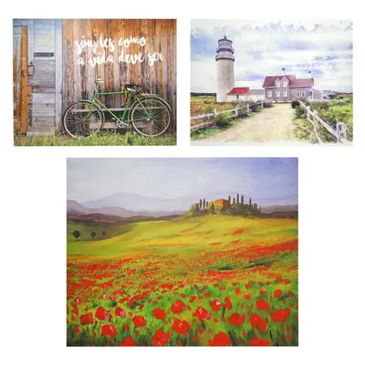 QUADRO DECORATIVO 40X50CM TELA CANVAS CAMPO COM MOLDURA DE MADEIRA MDF