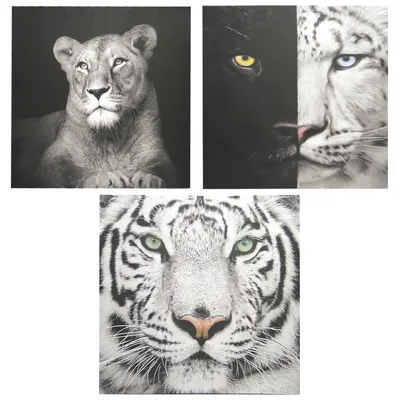 QUADRO DECORATIVO 60X60CM TELA CANVAS ANIMAIS COM MOLDURA DE MADEIRA MDF