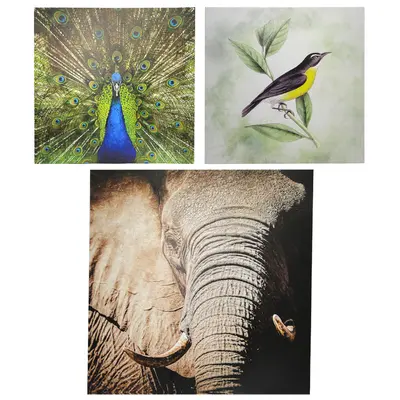 QUADRO DECORATIVO 60X60CM TELA CANVAS ANIMAIS COM MOLDURA DE MADEIRA MDF