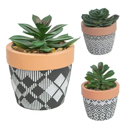 FLOR PERMANENTE SUCULENTA COM VASO DE CIMENTO REDONDO 6,5X7,5CM DE Ø