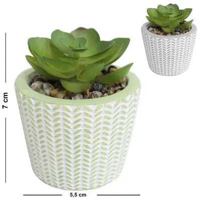 FLOR PERMANENTE SUCULENTA COM VASO DE CIMENTO REDONDO 7X5,5CM DE Ø