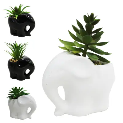 FLOR PERMANENTE SUCULENTA COM VASO ELEFANTE DE PORCELANA PRETO / BRANCO 8X8X5CM