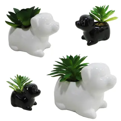 FLOR PERMANENTE SUCULENTA COM VASO CACHORRO DE PORCELANA PRETO/BRANCO 8,5X7X4,5CM