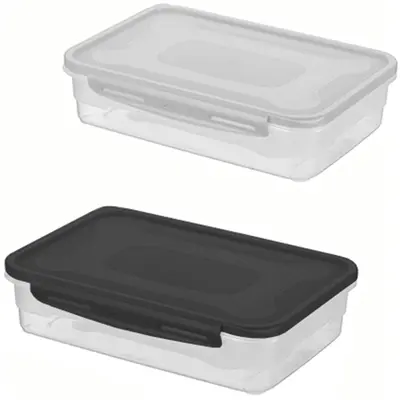 ORGANIZADOR CONTAINER DE PLASTICO RETANGULAR COM TAMPA E TRAVA 2L