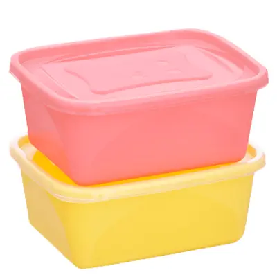 CONJUNTO DE ORGANIZADOR DE PLASTICO RETANGULAR NUDE COM TAMPA 2 PECAS 1270ML