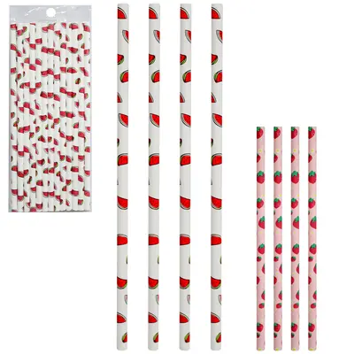CANUDO DE PAPEL RETO BIODEGRADAVEL FRUTAS COM 25 PECAS 20CM