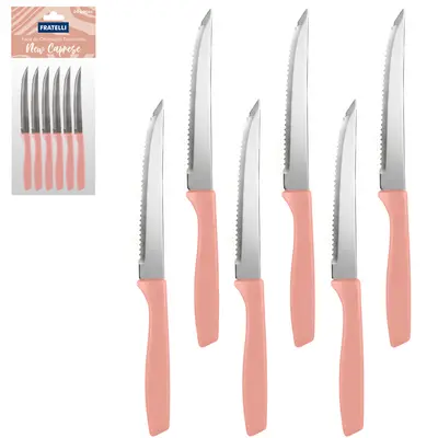 FACA DE CHURRASCO DE INOX 4,5'' CABO PLASTICO TERRACOTTA NEW CAPRESE 6 PECAS