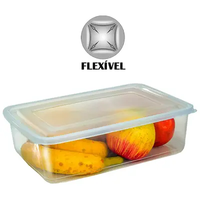 CAIXA / POTE DE PLASTICO RETANGULAR COM TAMPA HERMETICA FLEXIVEL 4L