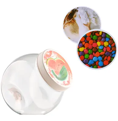 ORGANIZADOR DE PLASTICO COM TAMPA DECORADA 1L