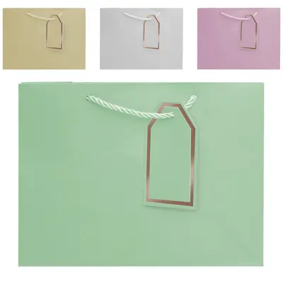 BOLSA SACOLA DE PAPEL PARA PRESENTE LUXO 23X18X10CM