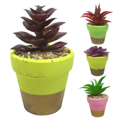 FLOR PERMANENTE SUCULENTA COM VASO DE CERAMICA REDONDO SORTIDOS 10X6CM DE Ø