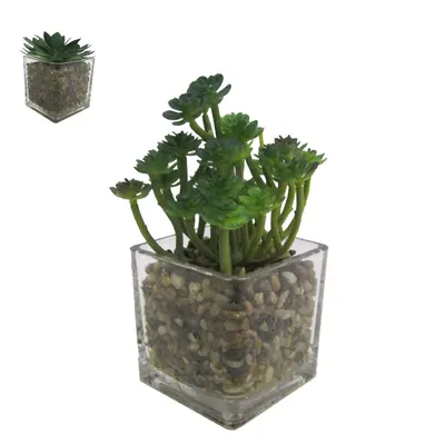 FLOR PERMANENTE SUCULENTA COM VASO DE VIDRO QUADRADO 14X8CM