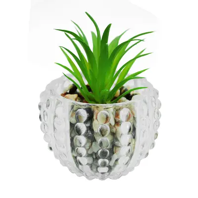 FLOR PERMANENTE SUCULENTA COM VASO DE VIDRO REDONDO 6,5X6,5CM DE Ø