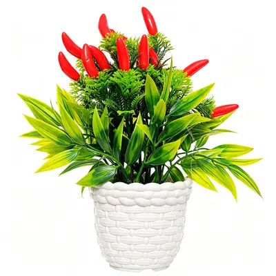 FLOR PERMANENTE PIMENTA COM VASO DE PLASTICO REDONDO 25X10CM DE Ø