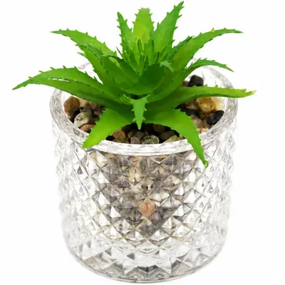 FLOR PERMANENTE SUCULENTA COM VASO DE VIDRO REDONDO 9X6CM DE Ø