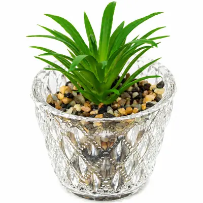 FLOR PERMANENTE SUCULENTA COM VASO DE VIDRO REDONDO 9,5X8CM DE Ø