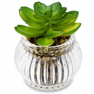 FLOR PERMANENTE SUCULENTA COM VASO DE VIDRO REDONDO 8X7CM DE Ø