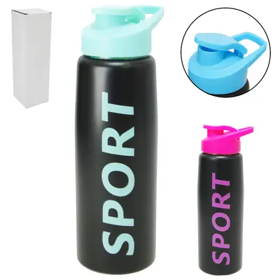 GARRAFA SQUEEZE DE INOX SPORT COM TAMPA + ALCA DE PLASTICO COLORS 1L NA CAIXA