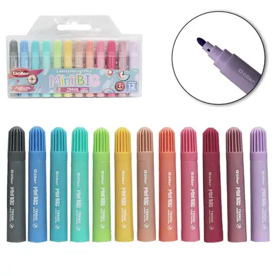 CANETA HIDROGRAFICA / HIDROCOR MINI BIG TREND PASTEIS COM 12 PECAS