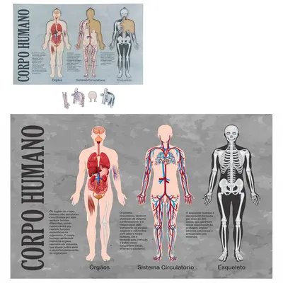 TABULEIRO DIDATICO JOGO DE ENCAIXE CORPO HUMANO DE MADEIRA MDF COM 36 PECAS 42,5X26,5CM