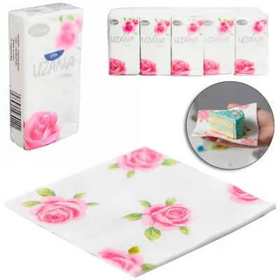 LENCO DESCARTAVEL FOLHA DUPLA COM 100 PECAS 20X19CM