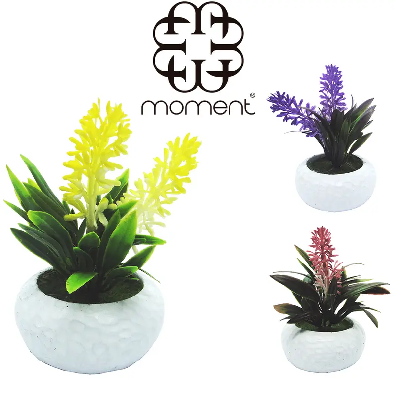 FLOR PERMANENTE COM VASO DE CERAMICA REDONDO 10X6,5CM DE Ø VCF
