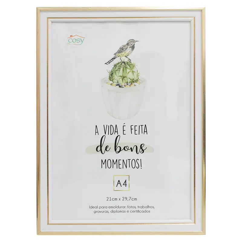 QUADRO PARA DIPLOMAS / CERTIFICADOS A4 DE PLASTICO TMD METALIZADO 30X21CM
