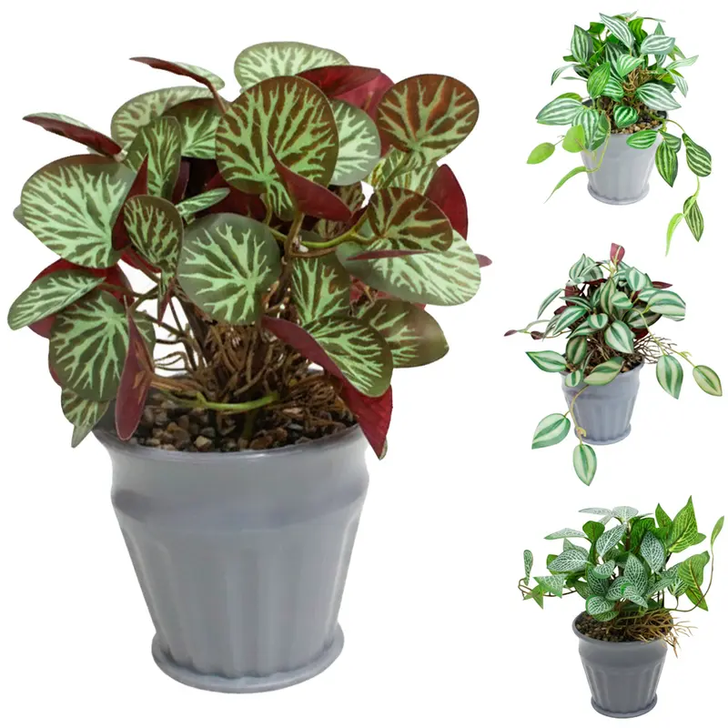FLOR PERMANENTE FOLHAGEM SORTIDAS COM VASO DE PLASTICO REDONDO 12X9X6,5CM VCF