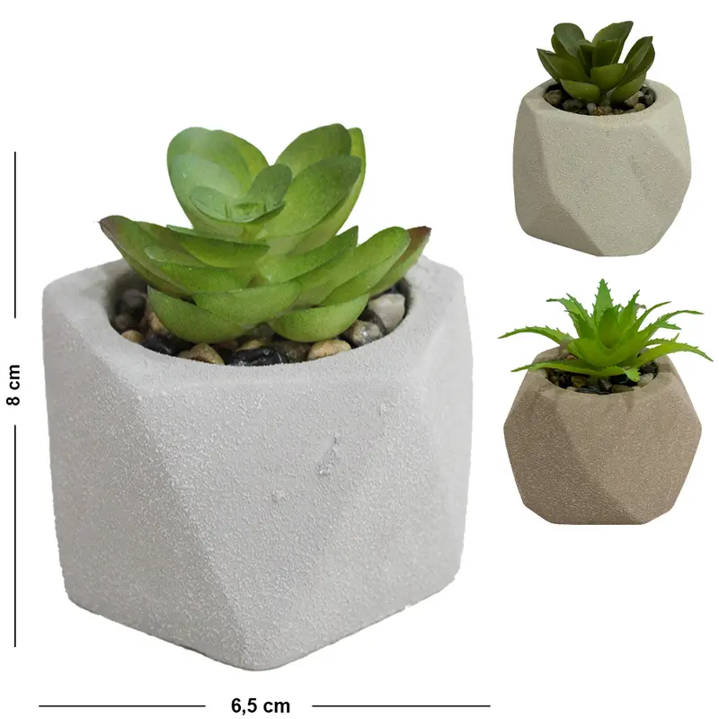 FLOR PERMANENTE SUCULENTA COM VASO DE CIMENTO 8X6,5X5CM