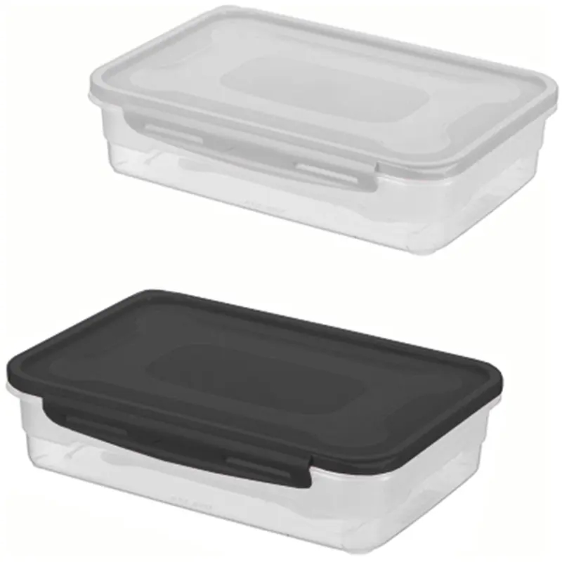 ORGANIZADOR CONTAINER DE PLASTICO RETANGULAR COM TAMPA E TRAVA 2L