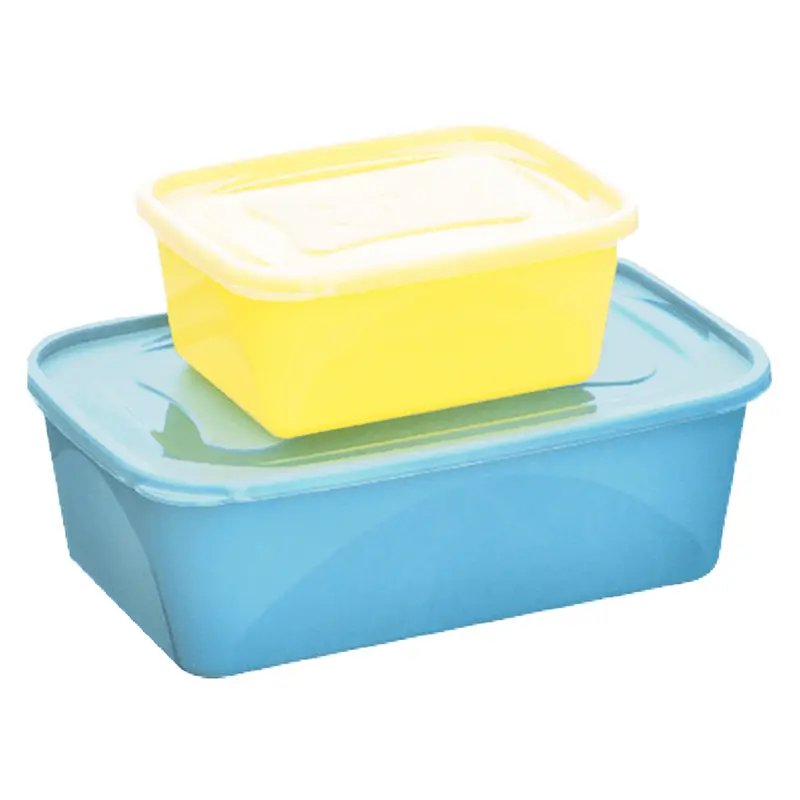 CONJUNTO DE ORGANIZADOR DE PLASTICO RETANGULAR COM TAMPA 2 PECAS 1,27/3,6L