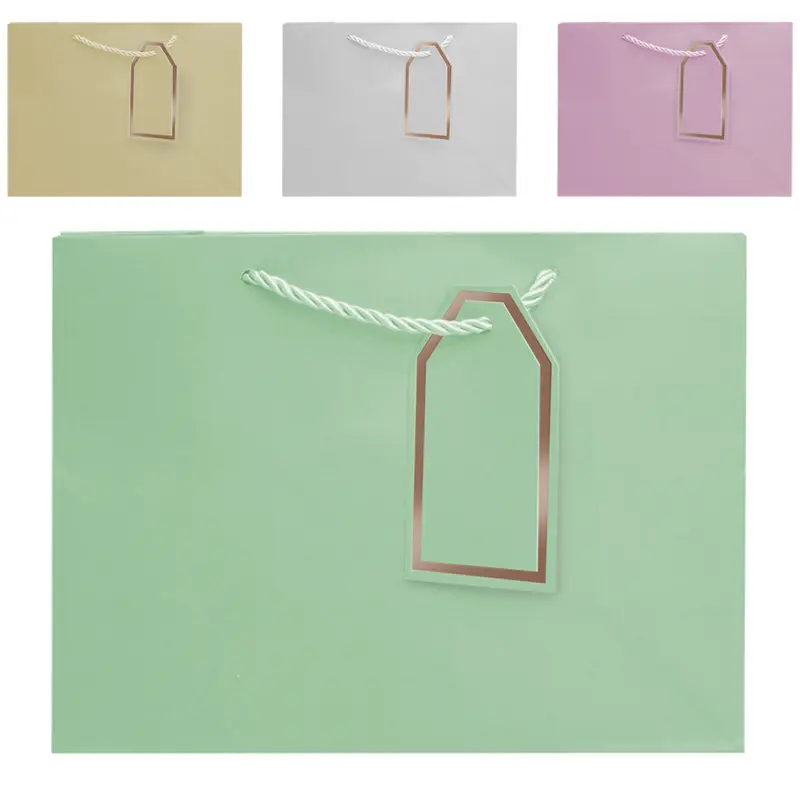 BOLSA SACOLA DE PAPEL PARA PRESENTE LUXO 23X18X10CM