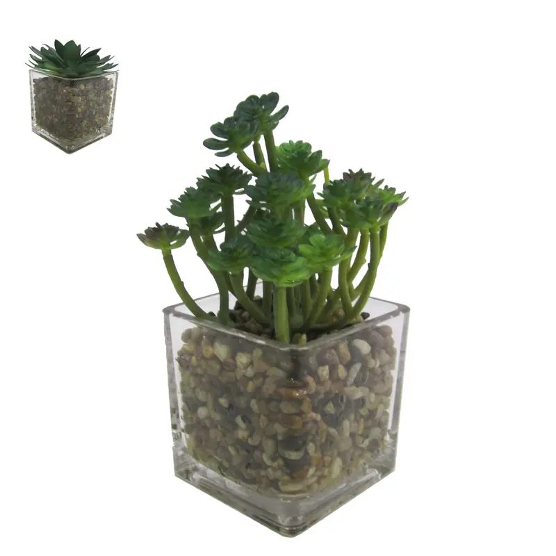 FLOR PERMANENTE SUCULENTA COM VASO DE VIDRO QUADRADO 14X8CM