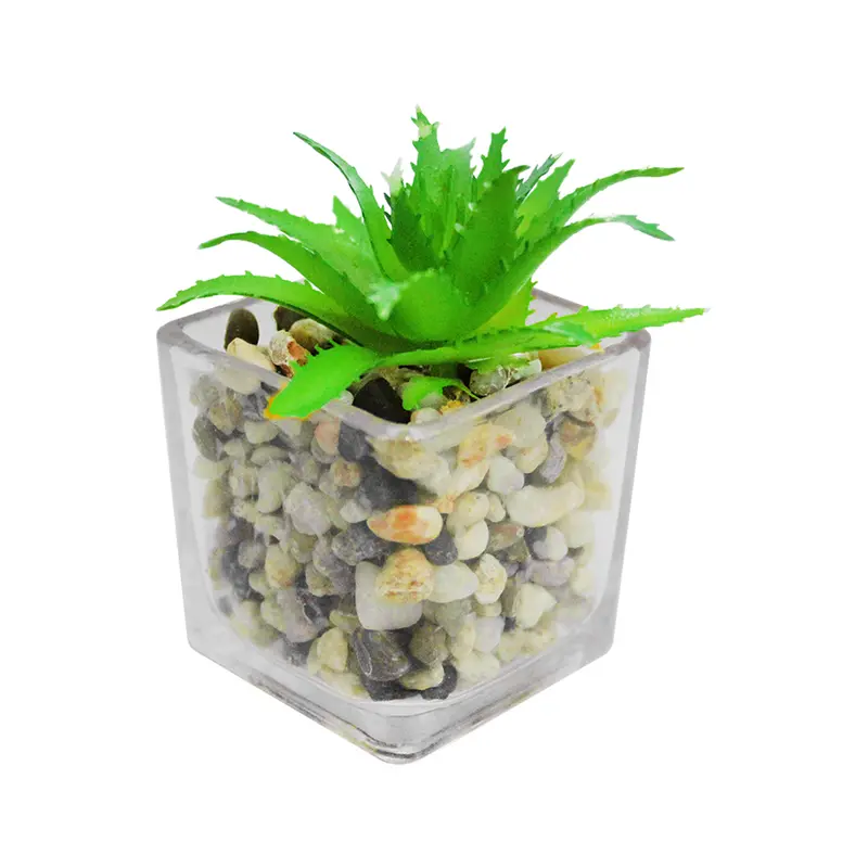FLOR PERMANENTE SUCULENTA COM VASO DE VIDRO QUADRADO 5,5CM