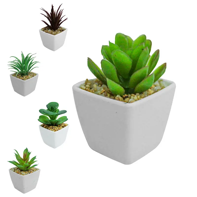 FLOR PERMANENTE SUCULENTA COM VASO DE PLASTICO QUADRADO 13X4,5CM VCF
