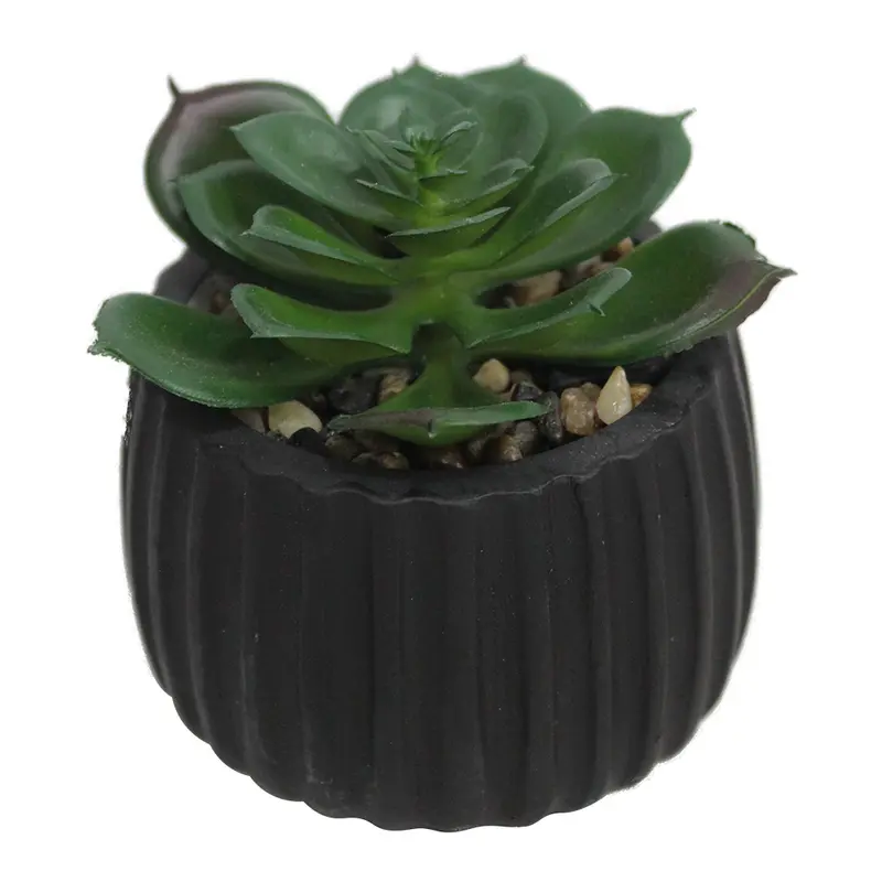 FLOR PERMANENTE SUCULENTA COM VASO DE CIMENTO REDONDO 6,5X7,5CM DE Ø