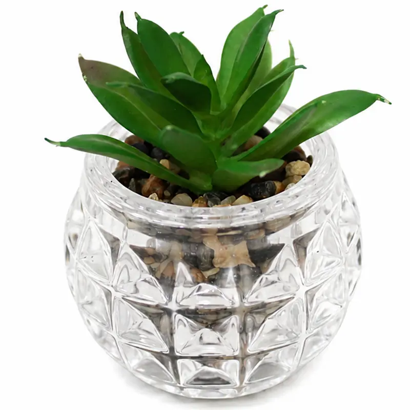 FLOR PERMANENTE SUCULENTA COM VASO DE VIDRO REDONDO 9X7CM DE Ø