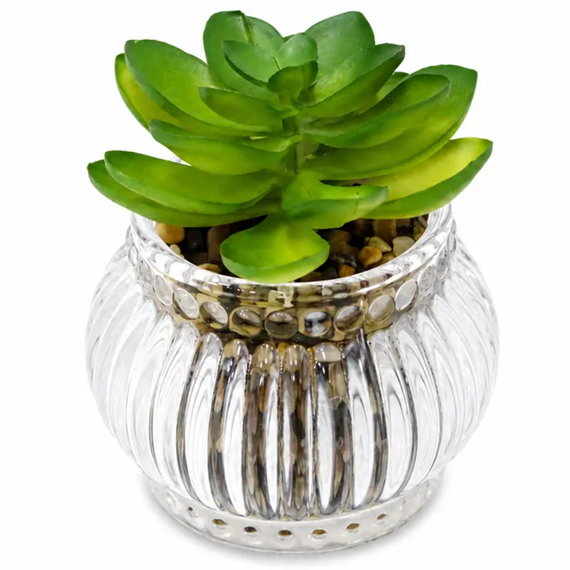 FLOR PERMANENTE SUCULENTA COM VASO DE VIDRO REDONDO 8X7CM DE Ø