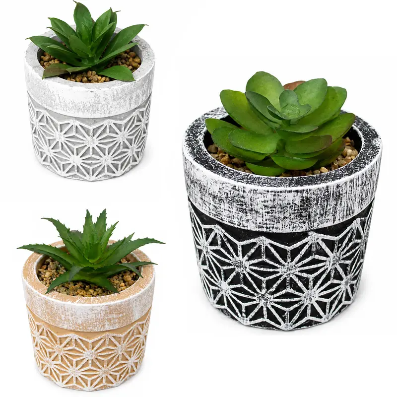FLOR PERMANENTE SUCULENTA COM VASO DE CIMENTO REDONDO 8X7CM DE Ø