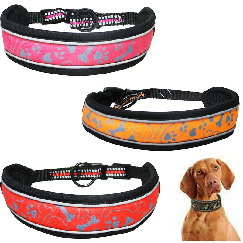 COLEIRA DE POLIESTER PARA CACHORRO COM FECHO ESTAMPAS SORTIDAS 48X4,5CM
