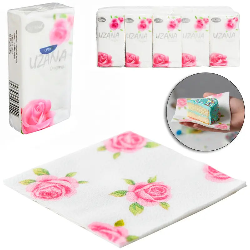 LENCO DESCARTAVEL FOLHA DUPLA COM 100 PECAS 20X19CM